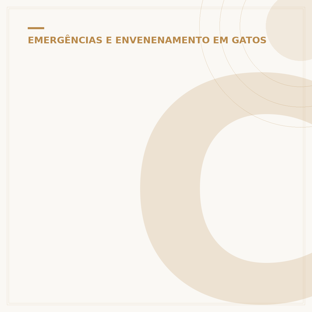 Como saber se o gato foi envenenado: sinais e ações