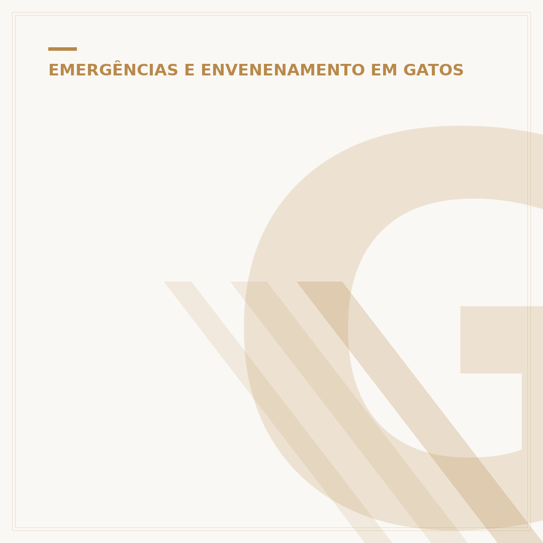Gato envenenado sobrevive: o que fazer e sinais