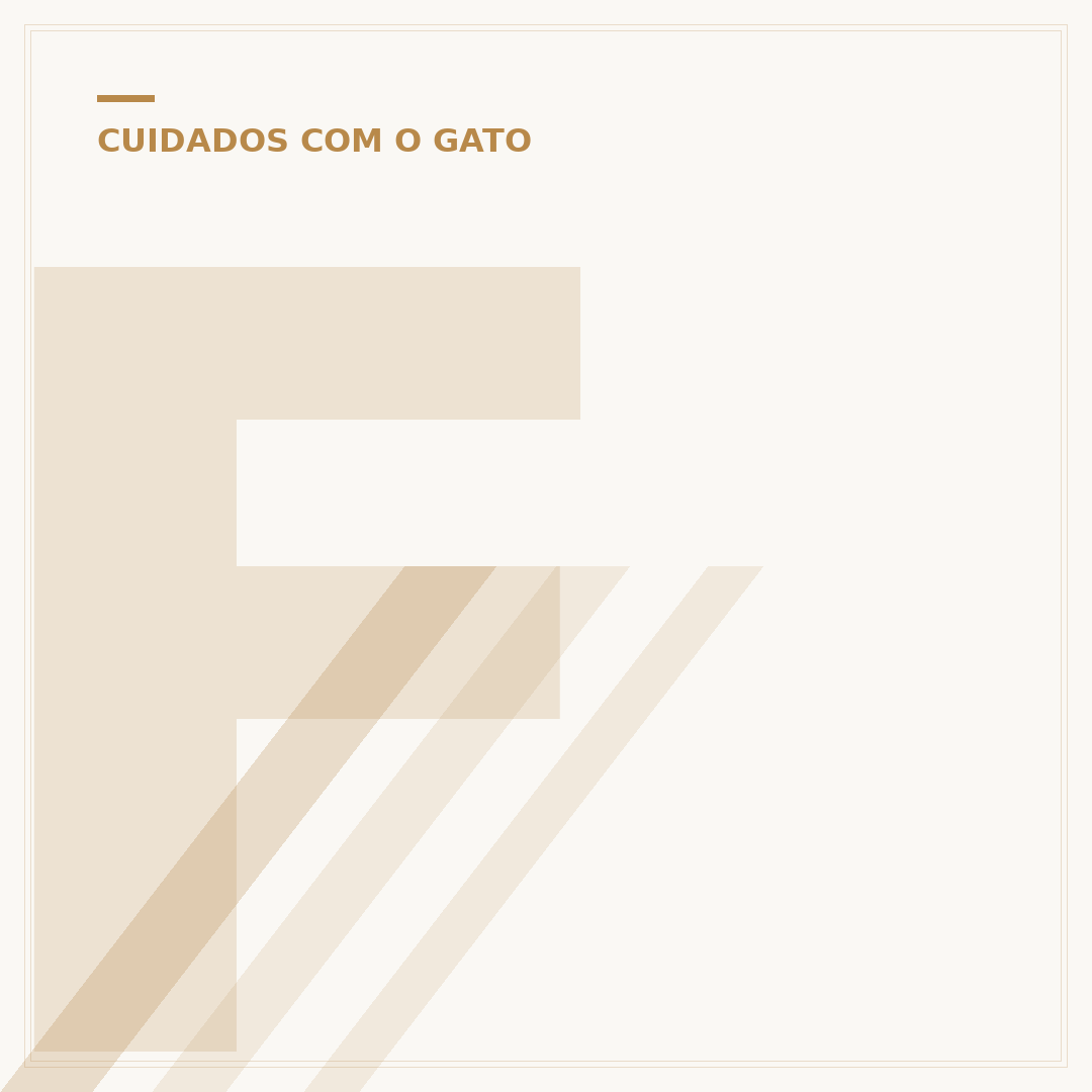 Filhote gato escama de tartaruga: características e cuidados
