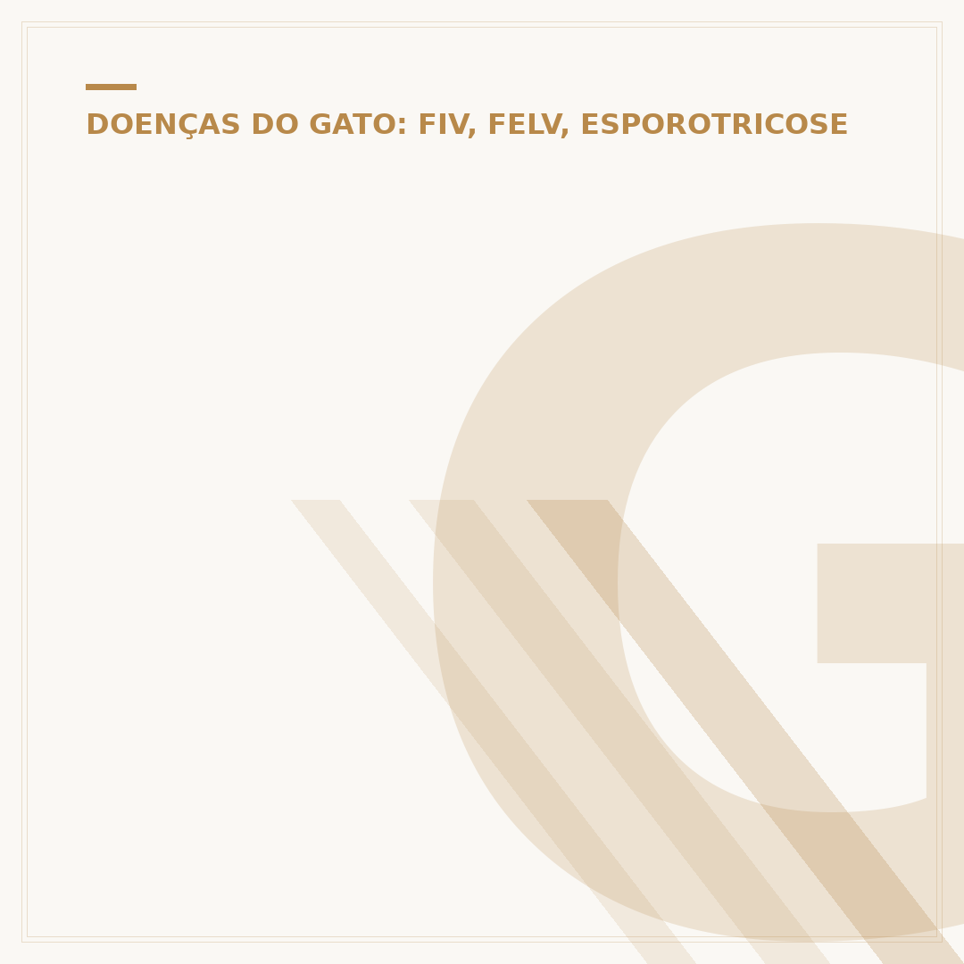Gato felv positivo: o que fazer e como cuidar
