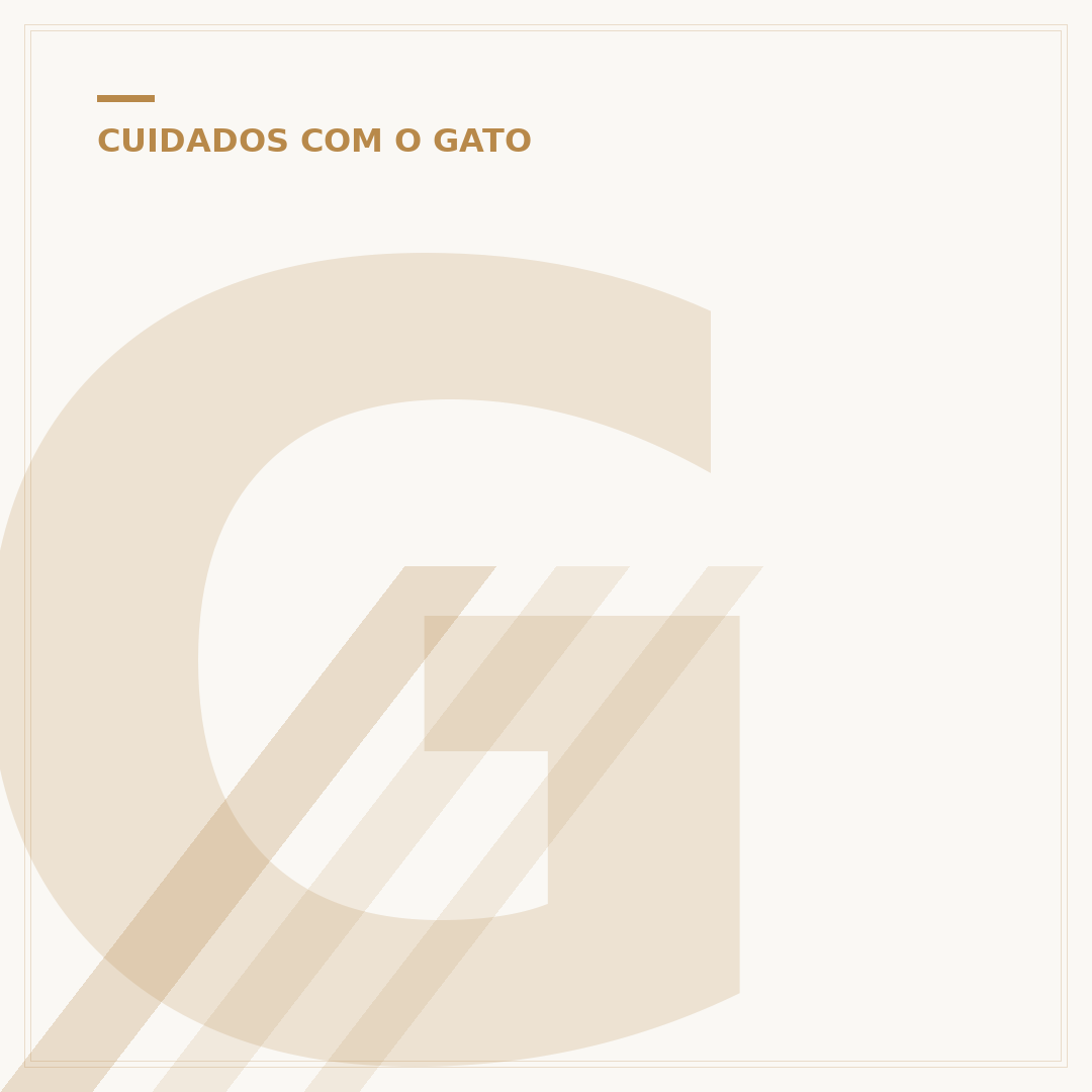 Gato filhote com bafo de carniça: causas e cuidados
