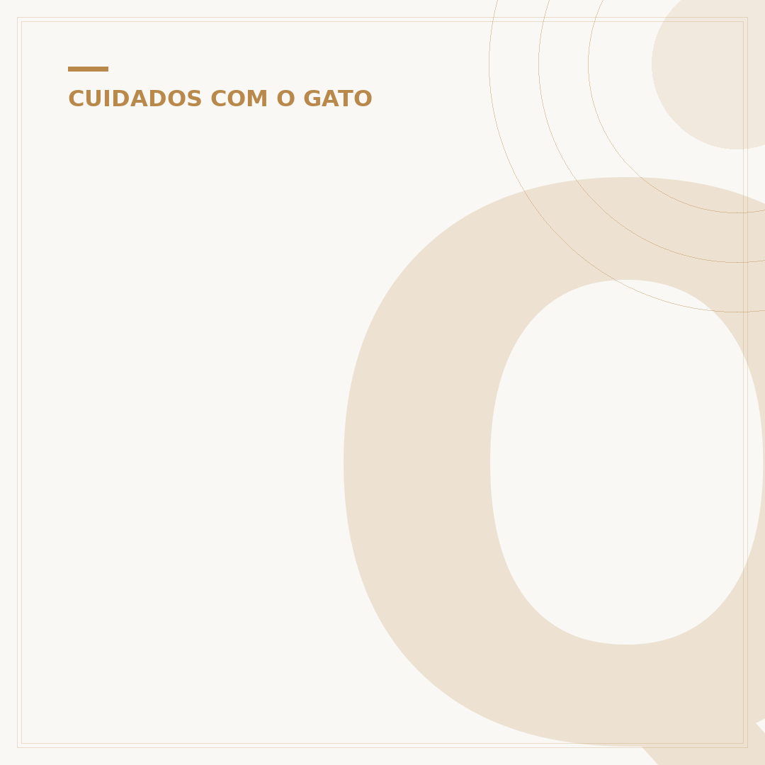 Quantas vezes gato filhote come por dia?
