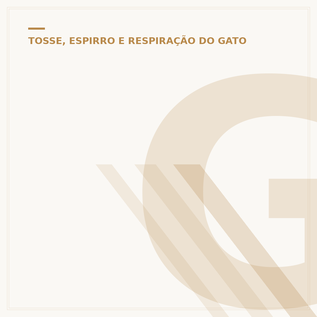 Gato filhote espirrando: causas e o que fazer