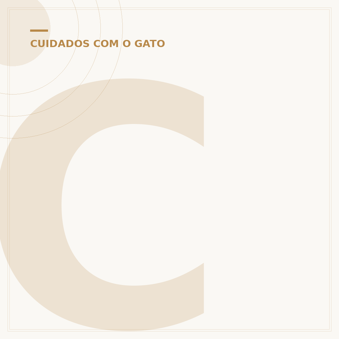 Com quantos anos o gato é considerado idoso?