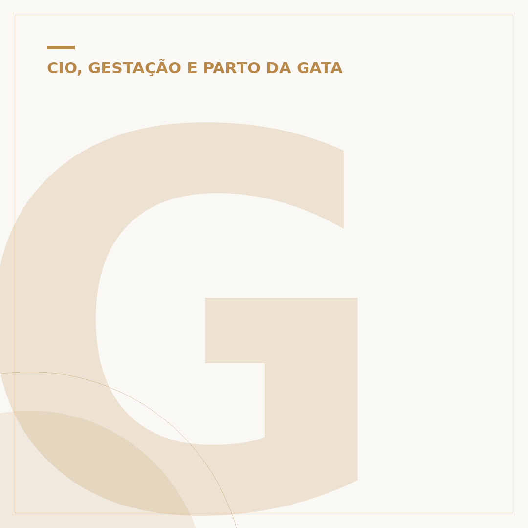 Gato macho tem cio? Entenda o comportamento sexual felino