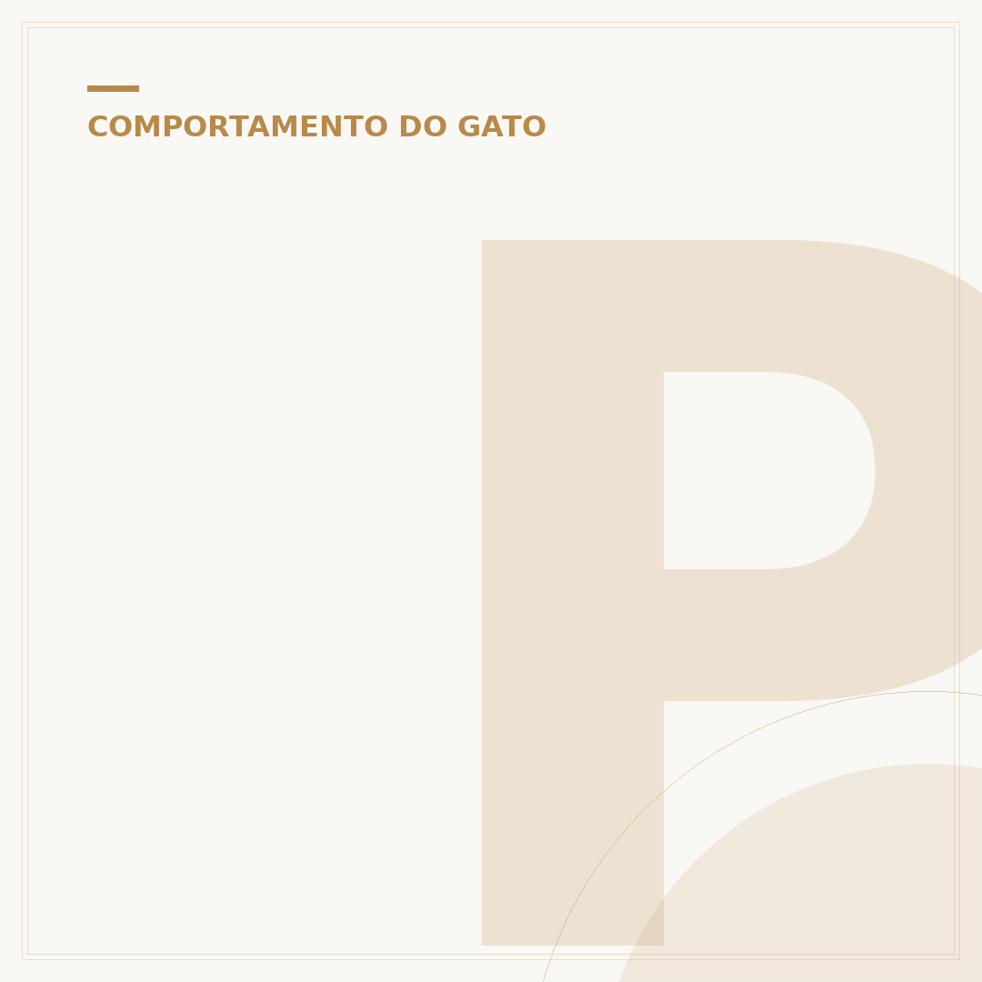 Porque o gato morde o pé do dono: entenda o comportamento