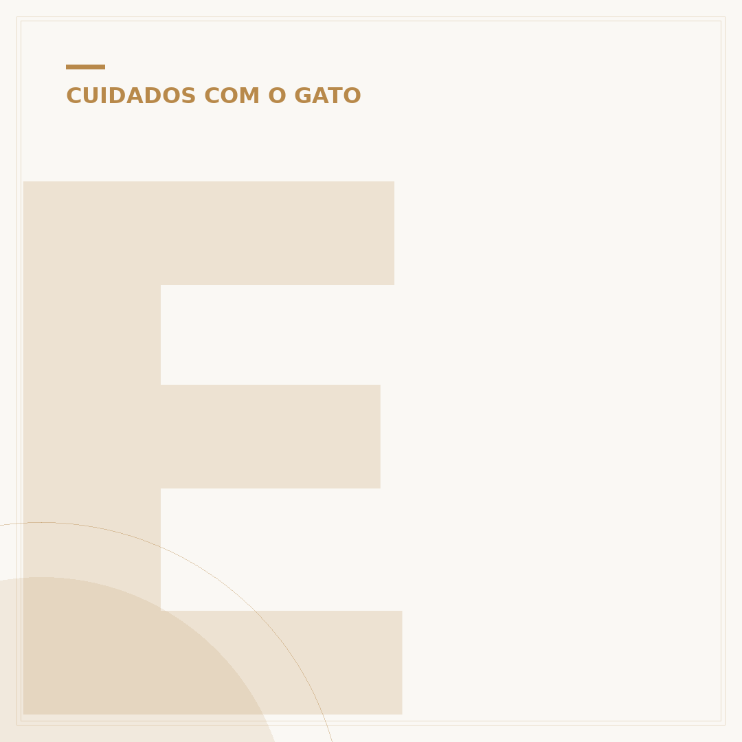 Existe gato que não cresce?