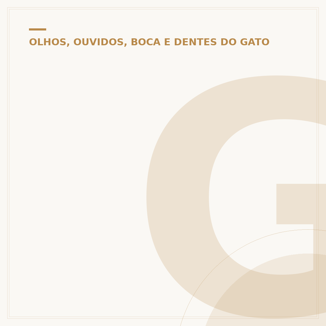 Gato com olho remelando e fechado: causas e cuidados