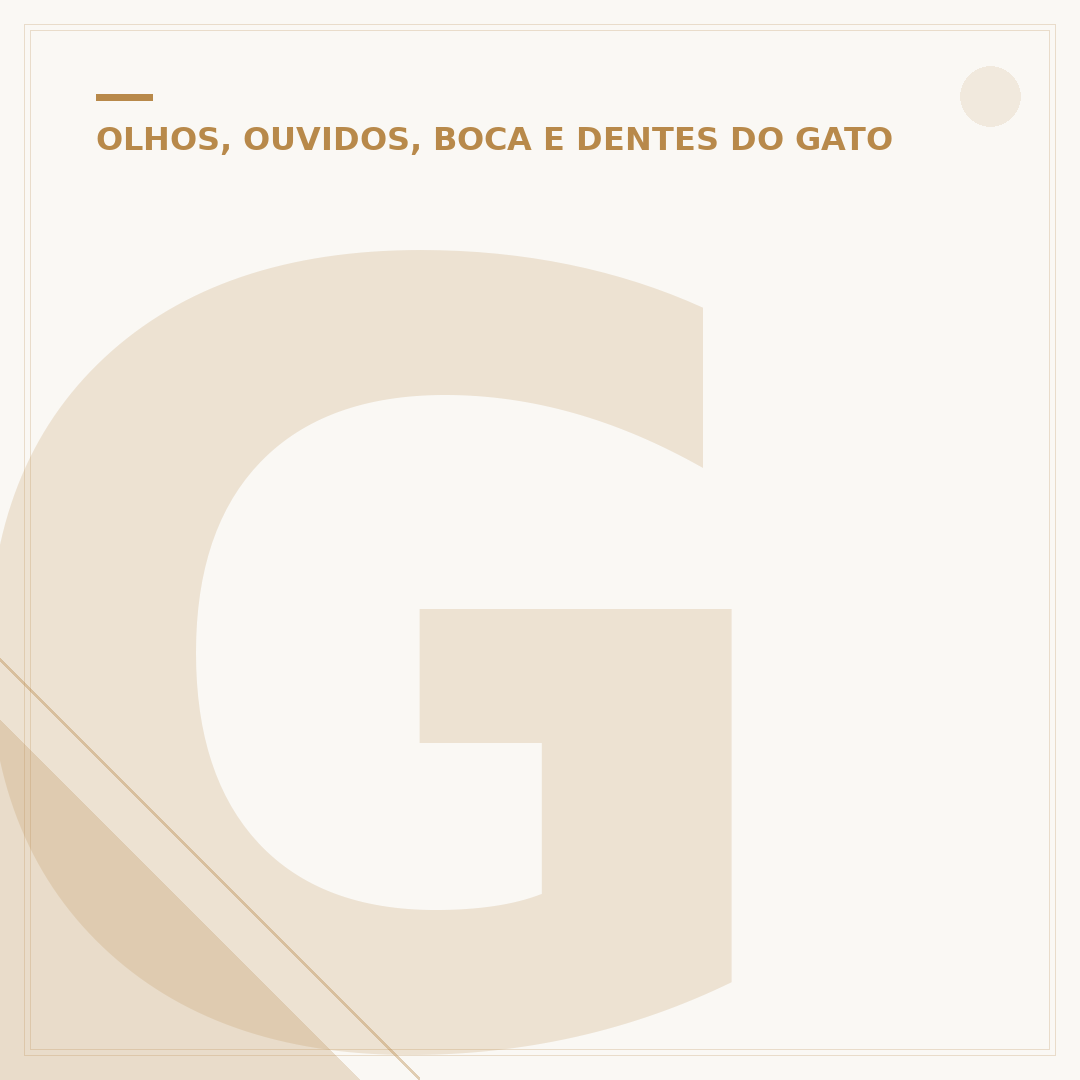 Gato sem dente: causas, cuidados e saúde bucal felina