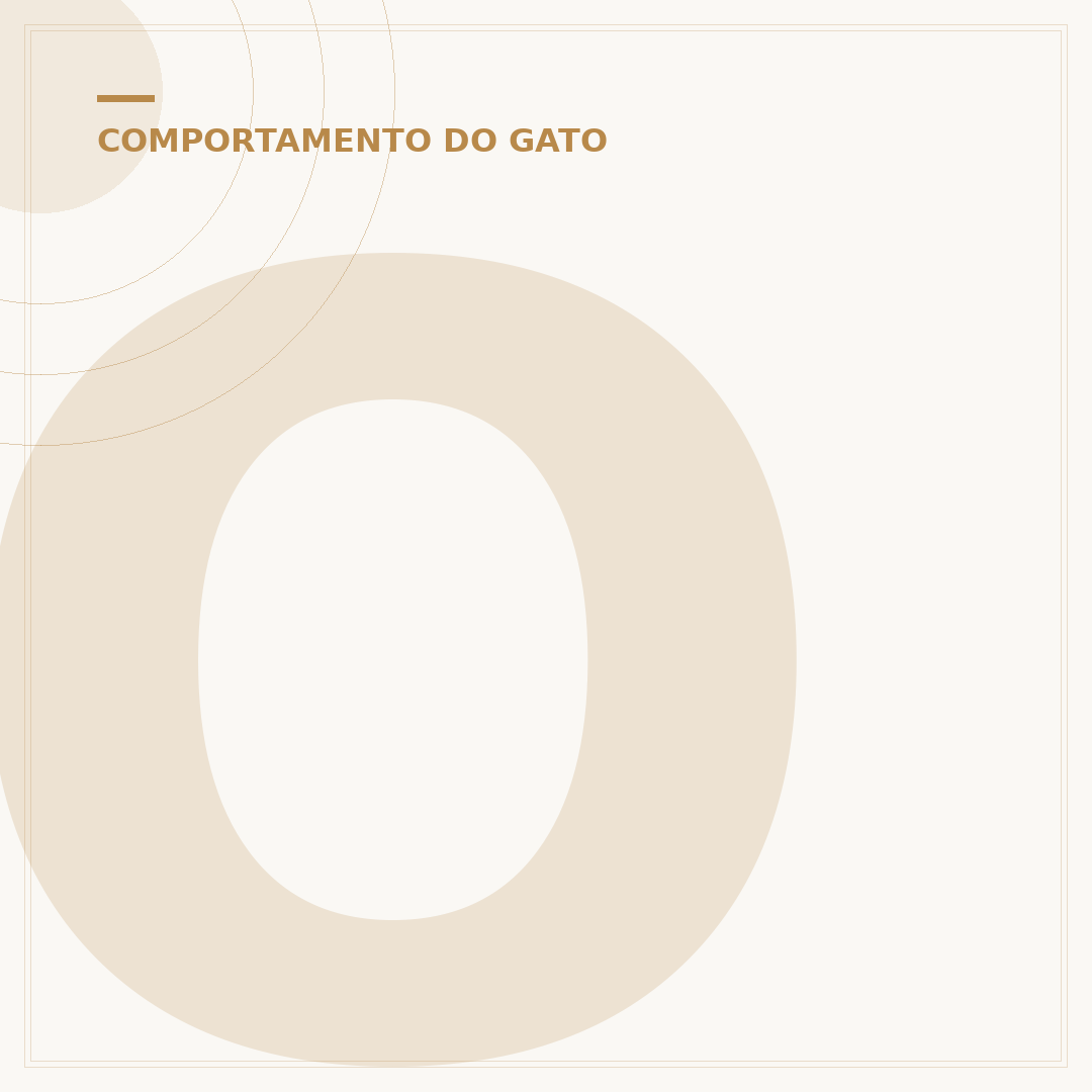 O gato sente ciúmes?