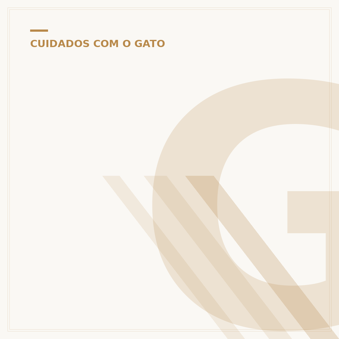 Gato tem 7 vidas? Desvendando o mito ancestral