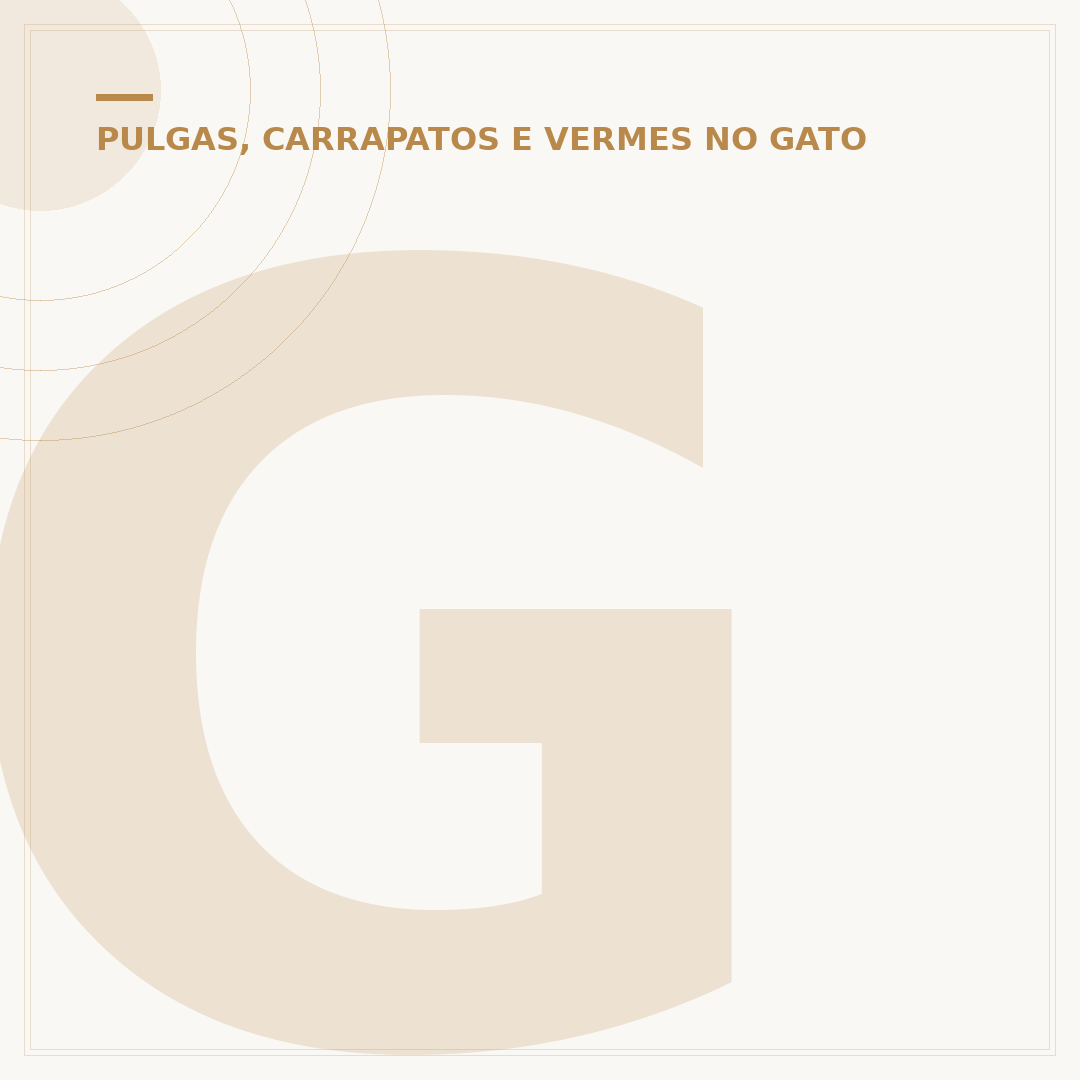 Gato tem piolho: entenda os sinais e como tratar