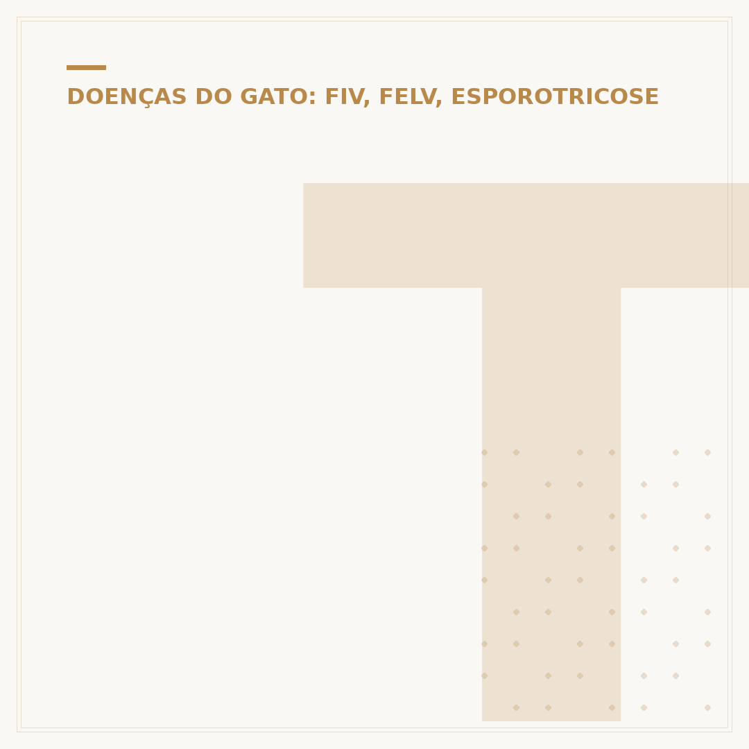 Todo gato tem toxoplasmose? Desvendando a verdade