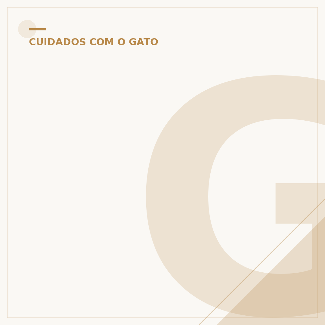 Gato tigrado filhote: cuidados e desenvolvimento