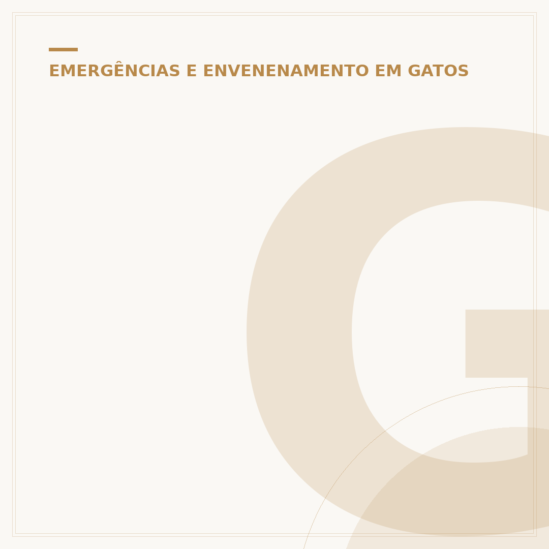 Gato tossindo como se estivesse engasgado