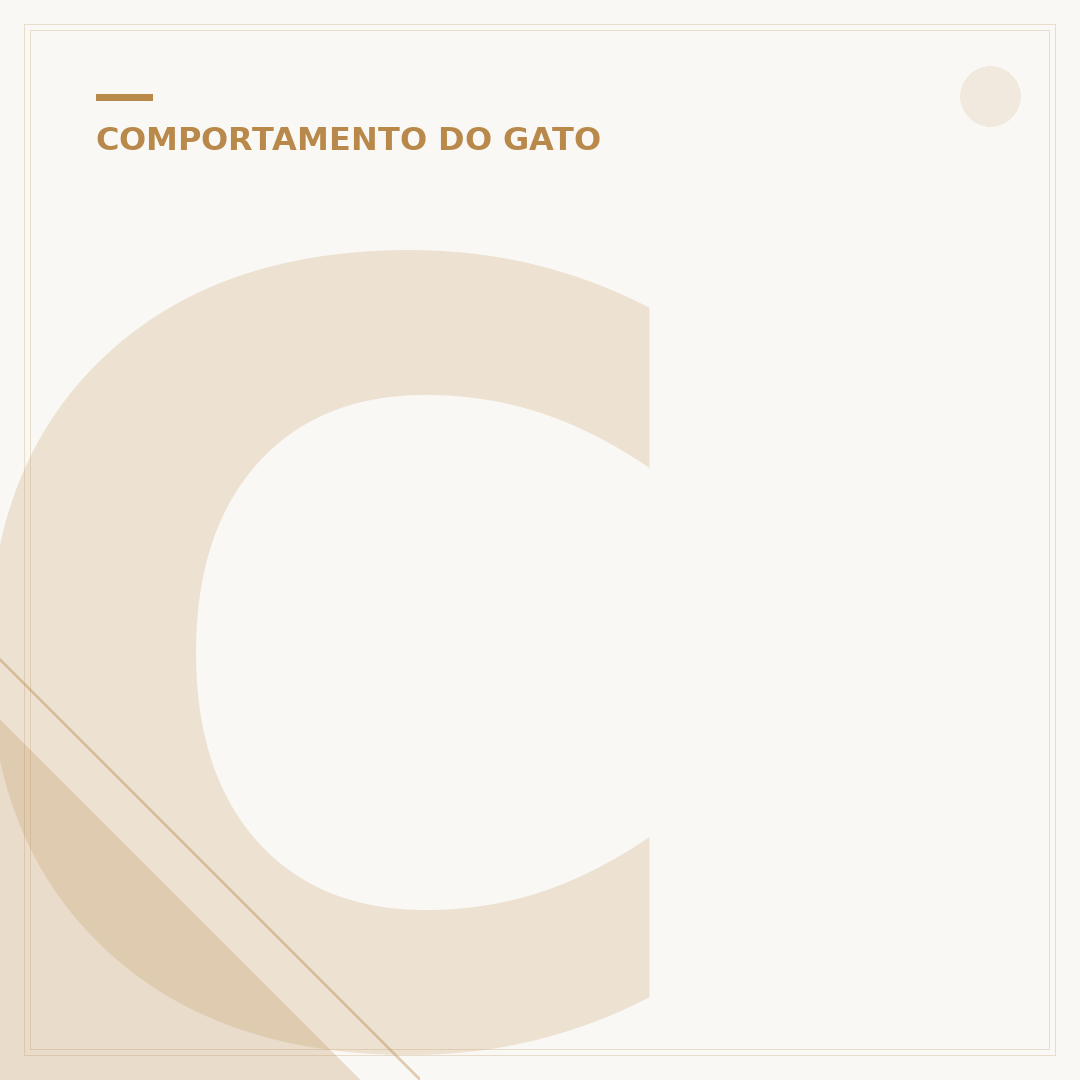 Como o gato vê no escuro