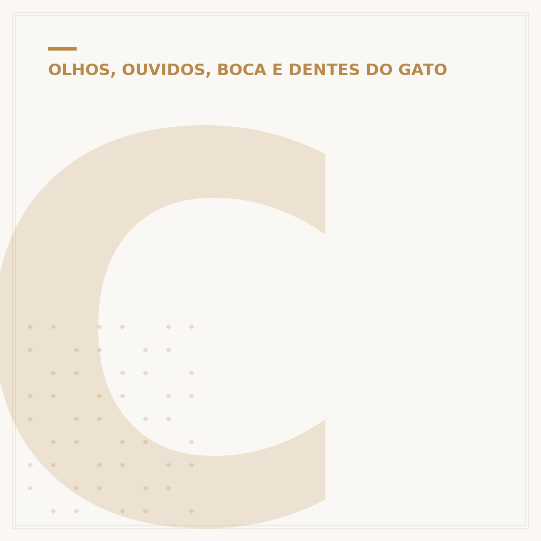 Com quantos dias os gatos abrem os olhos?