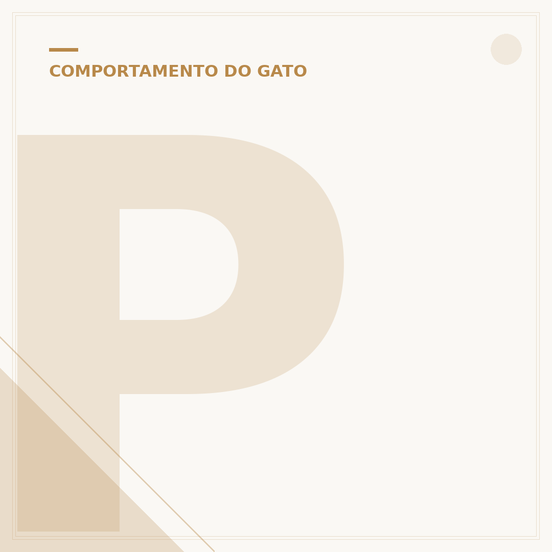 Por que os gatos deitam em cima da gente?