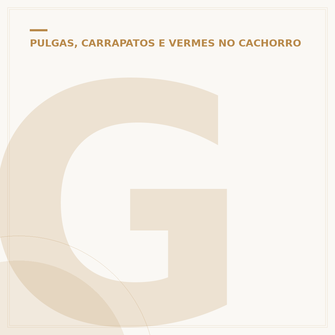 Gengiva de cachorro com doença do carrapato: o que observar