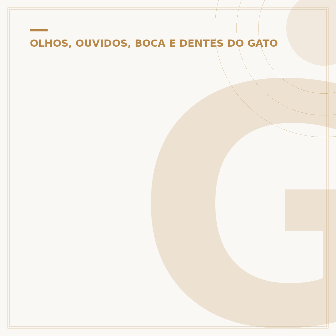 Gengiva do gato