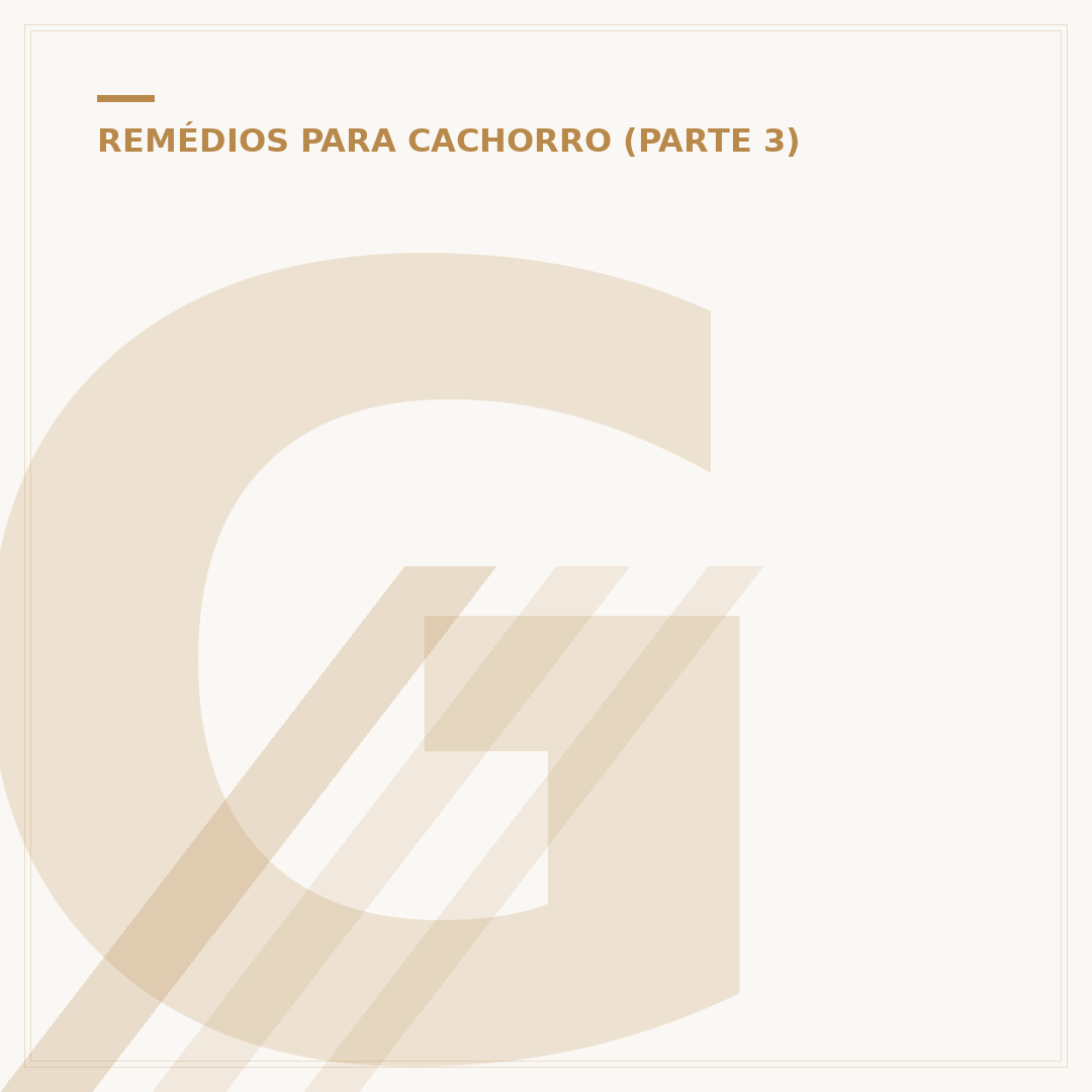 Gentamicina para cachorro: para que serve e como usar