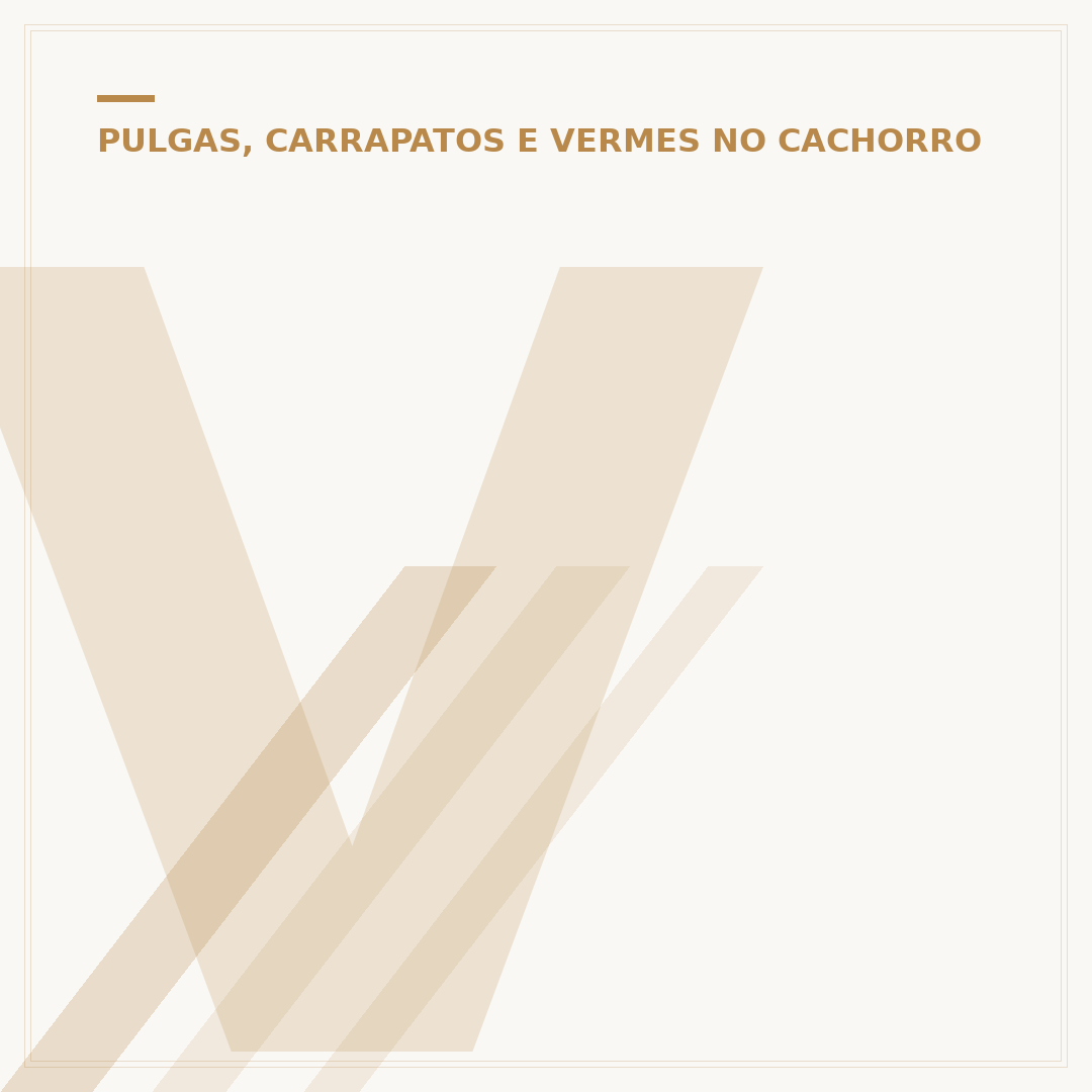 Verme giardia em cachorro
