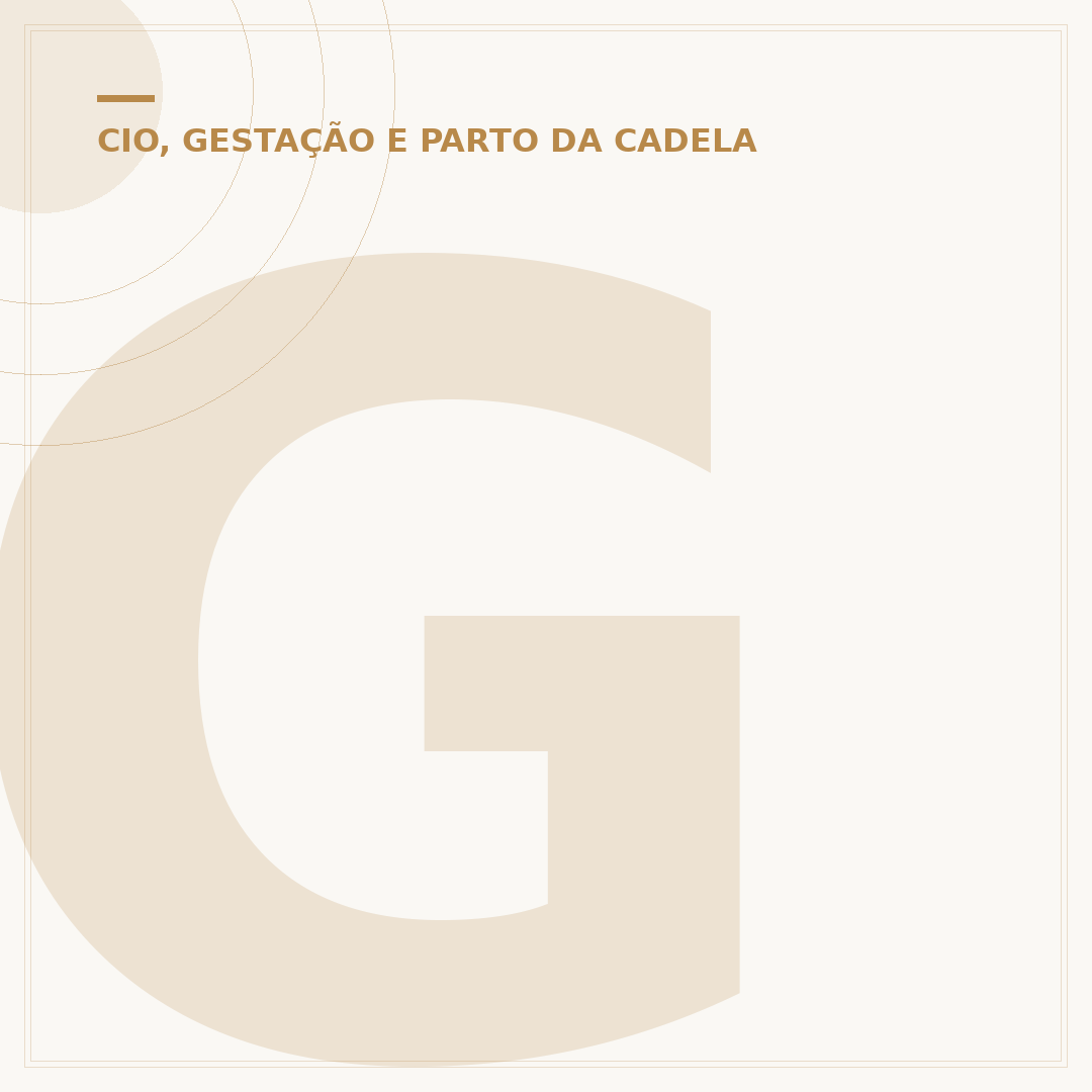 Gravidez de um cachorro