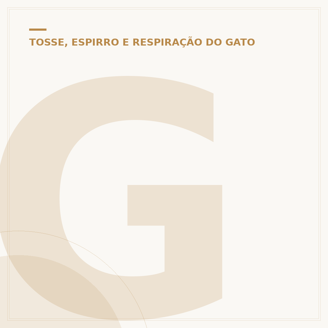 Gripe em gatos pode matar? Entenda os riscos e sinais
