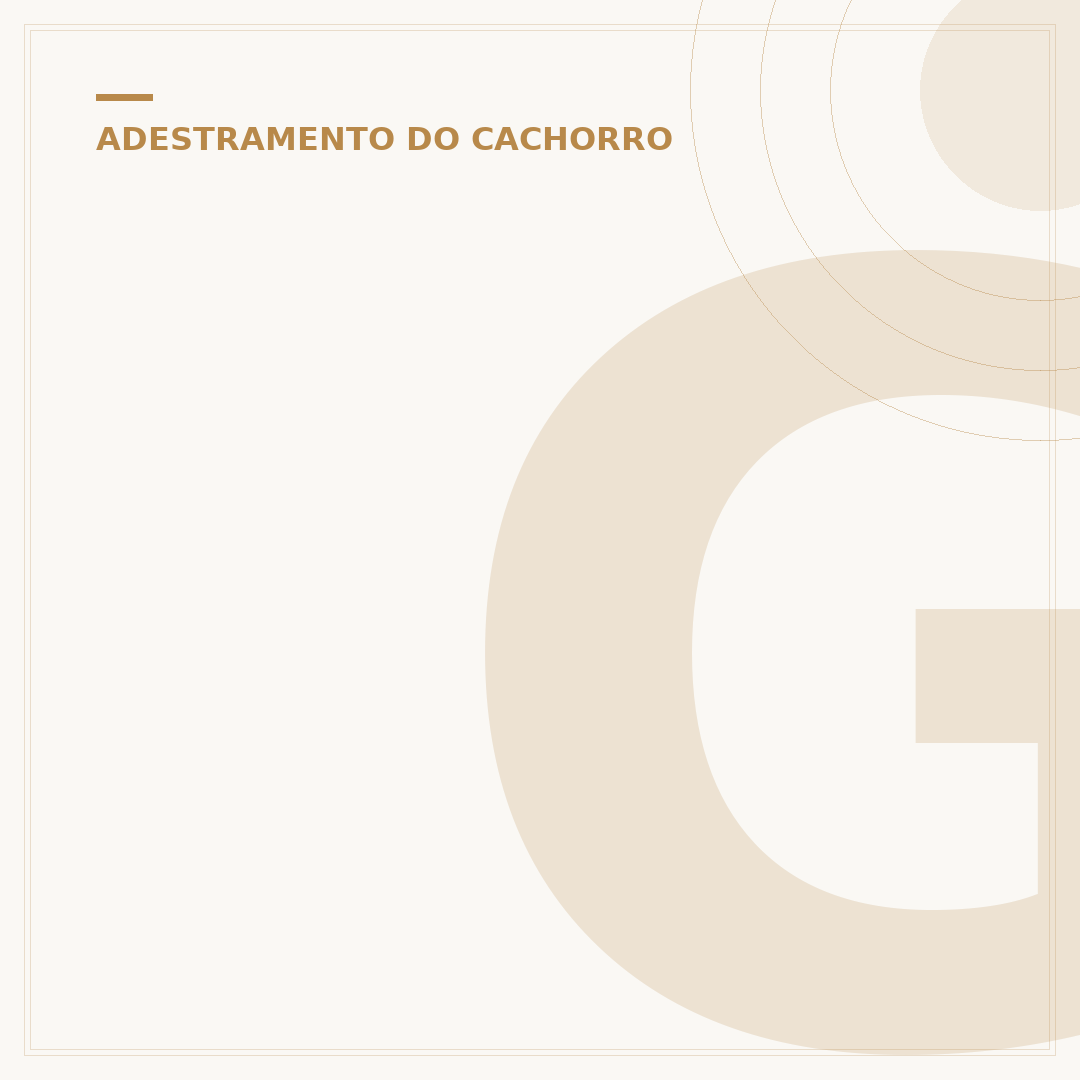 Guia de adestramento canino: transformando comportamentos
