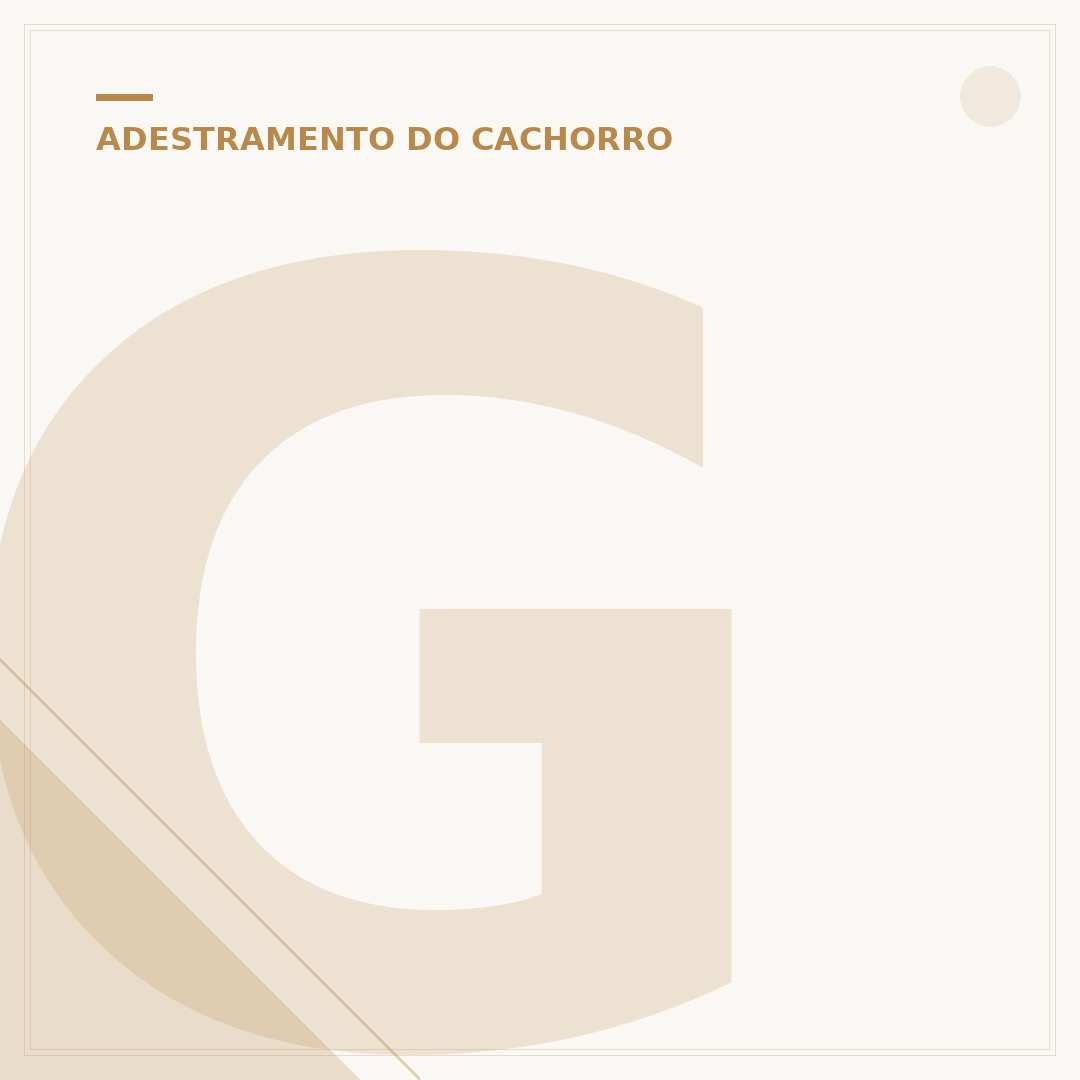 Guia unificada de adestramento: o que é e como escolher