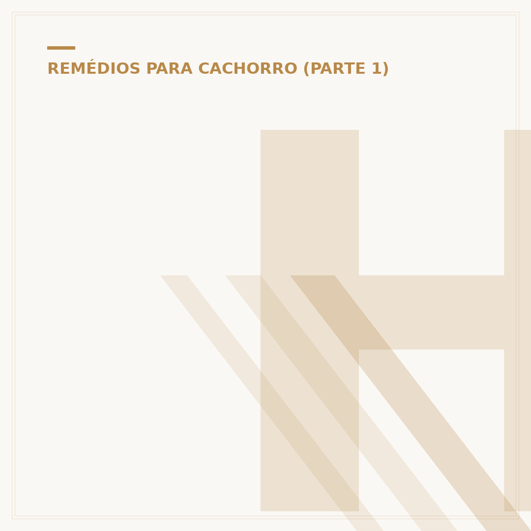 Hemorroida em cachorro: o que fazer e como tratar