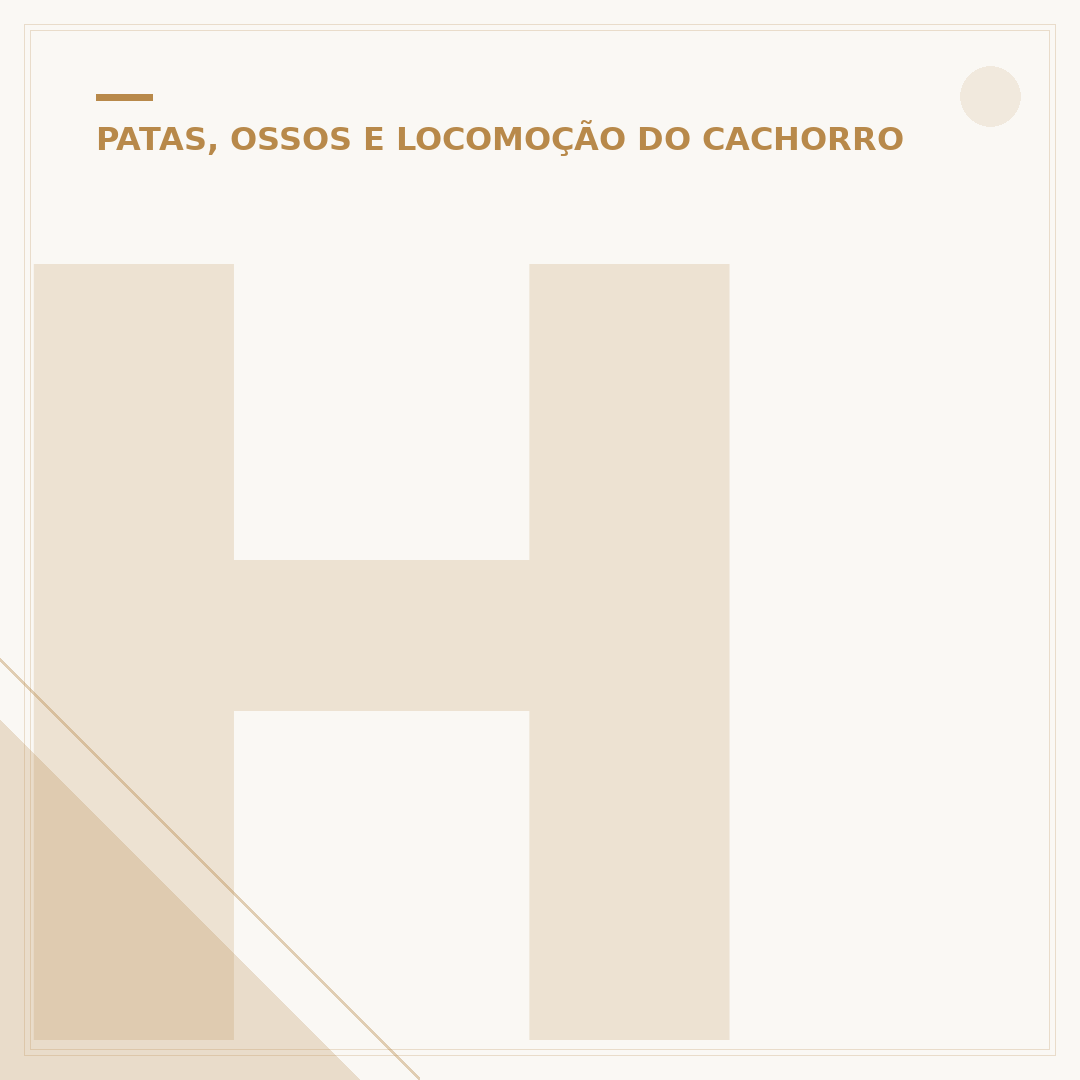Hérnia em cachorro é perigoso? Entenda os riscos e cuidados