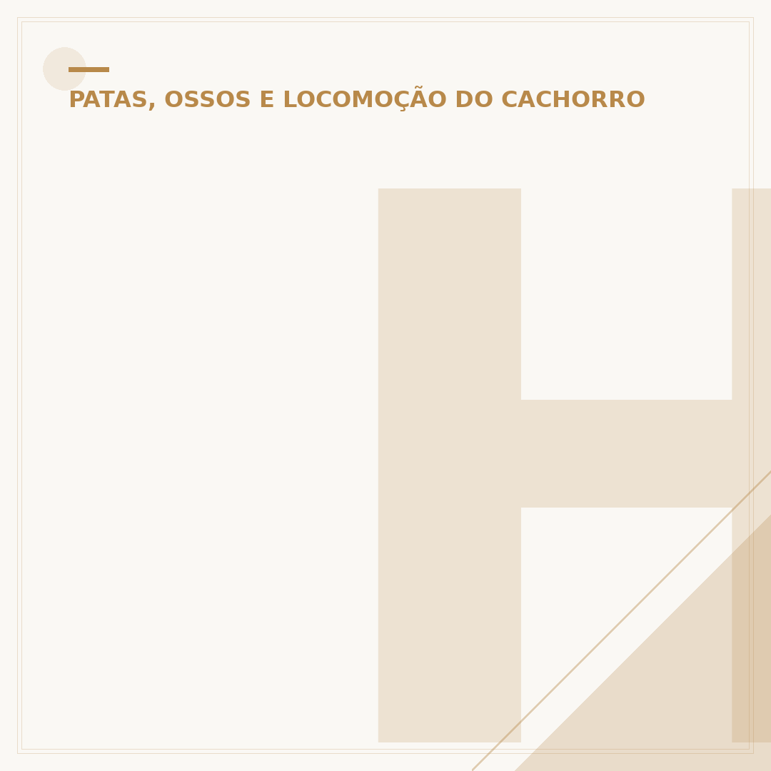Hérnia de disco em cachorro tem cura? Entenda o tratamento