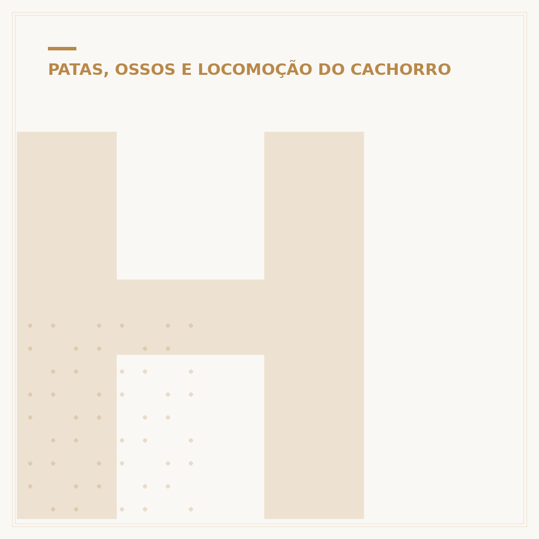 Hérnia de disco em cachorro: causas, sintomas e tratamento