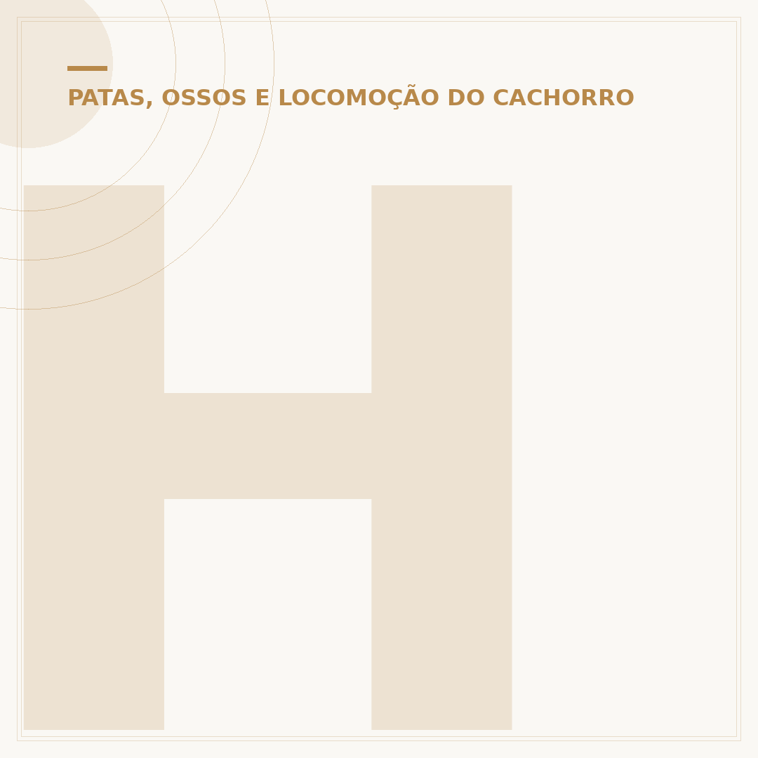 Hérnia umbilical em filhote de cachorro