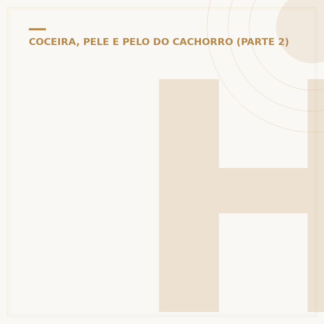 Hidratante para cachorro com dermatite: qual o melhor?
