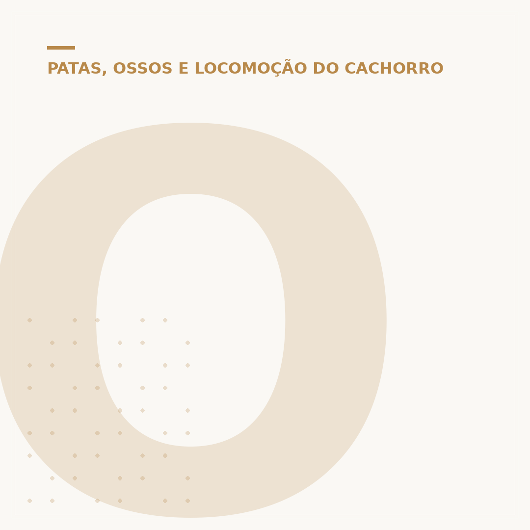 O que passar na pata do cachorro para hidratar caseiro