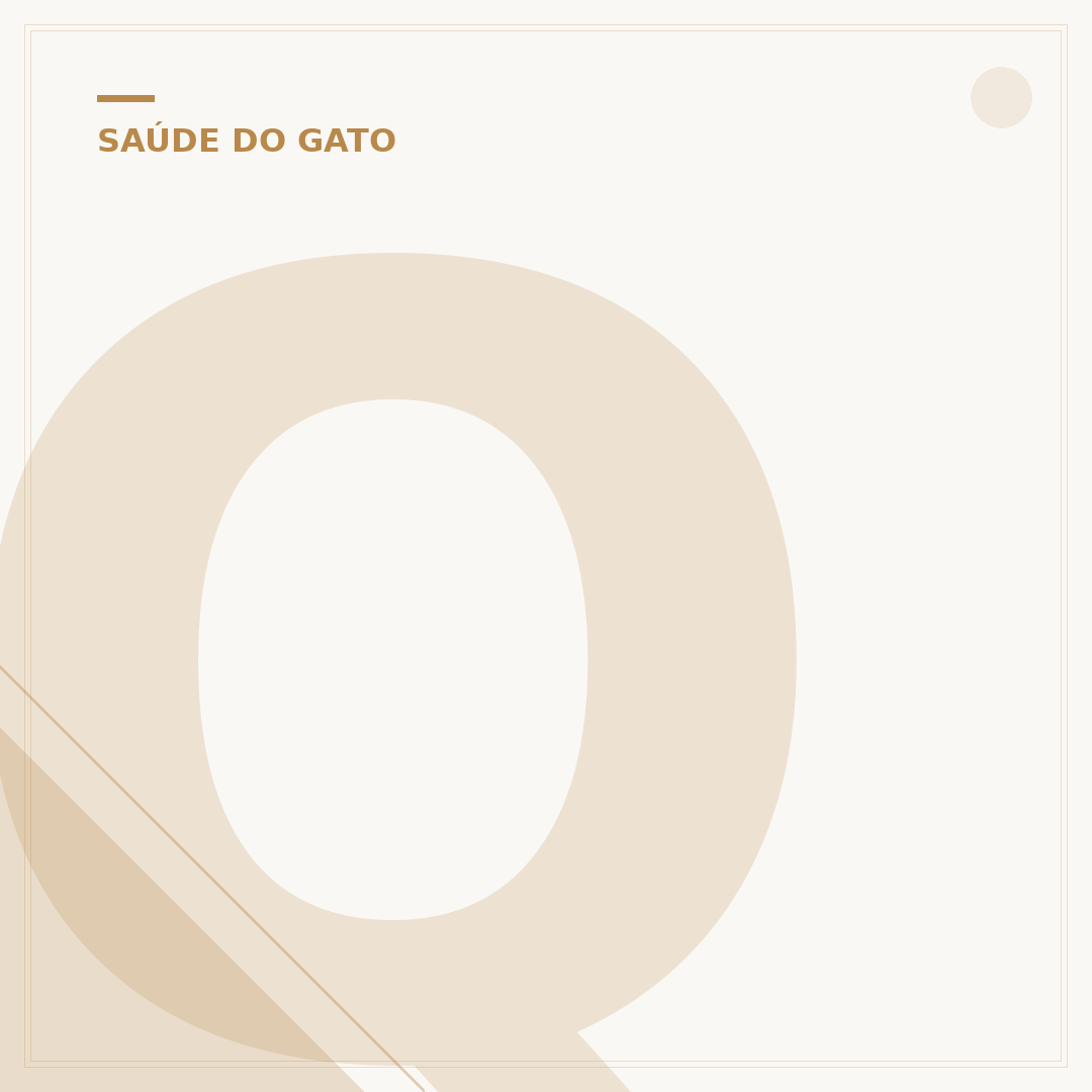 Quantas horas dura a anestesia em gatos?