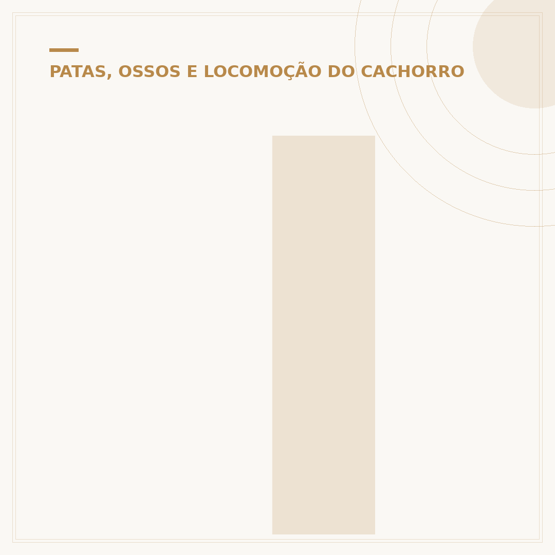 Ícone de pata de cachorro 3D