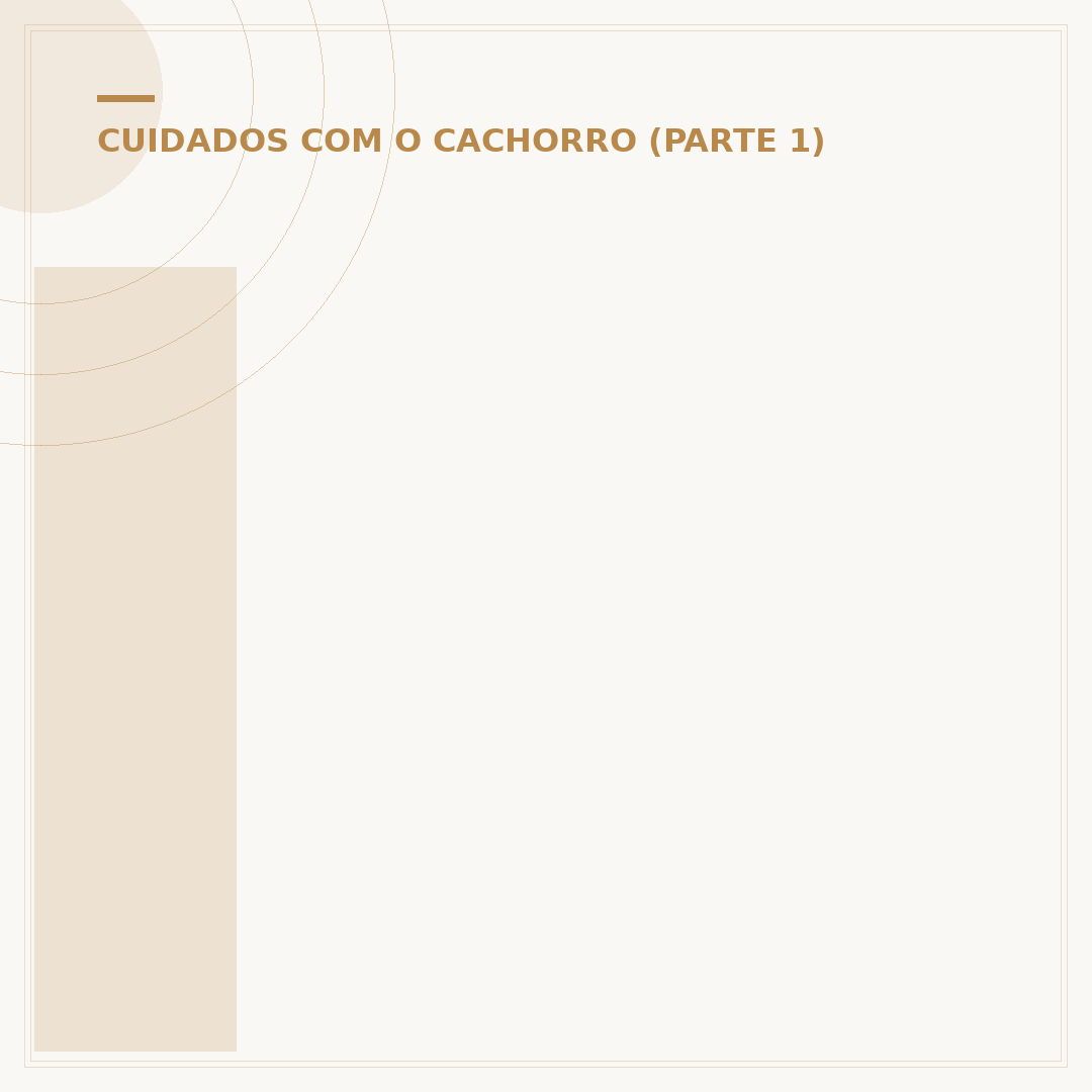 Idade do cachorro comparada à humana