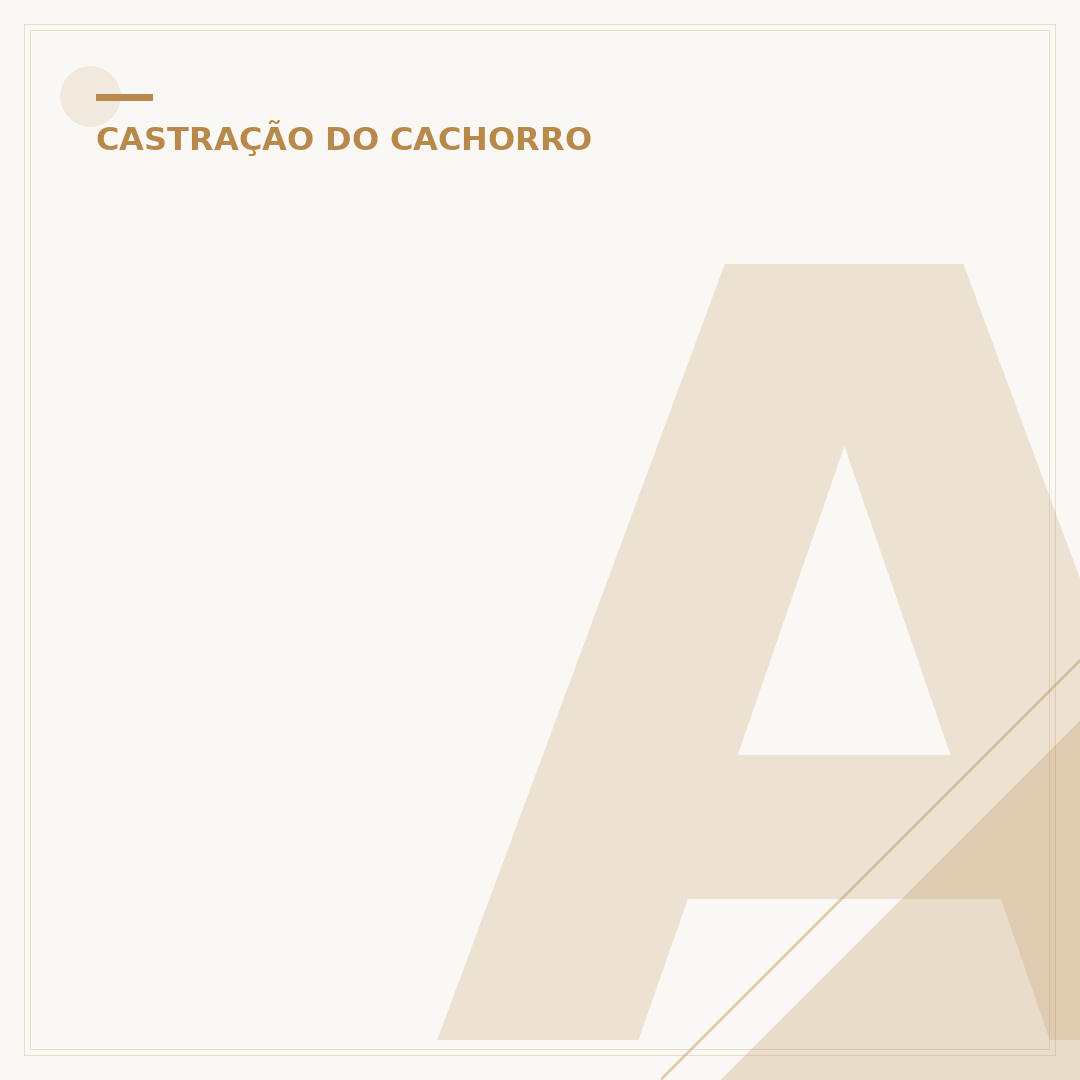 A partir de quantos meses pode castrar o cachorro?