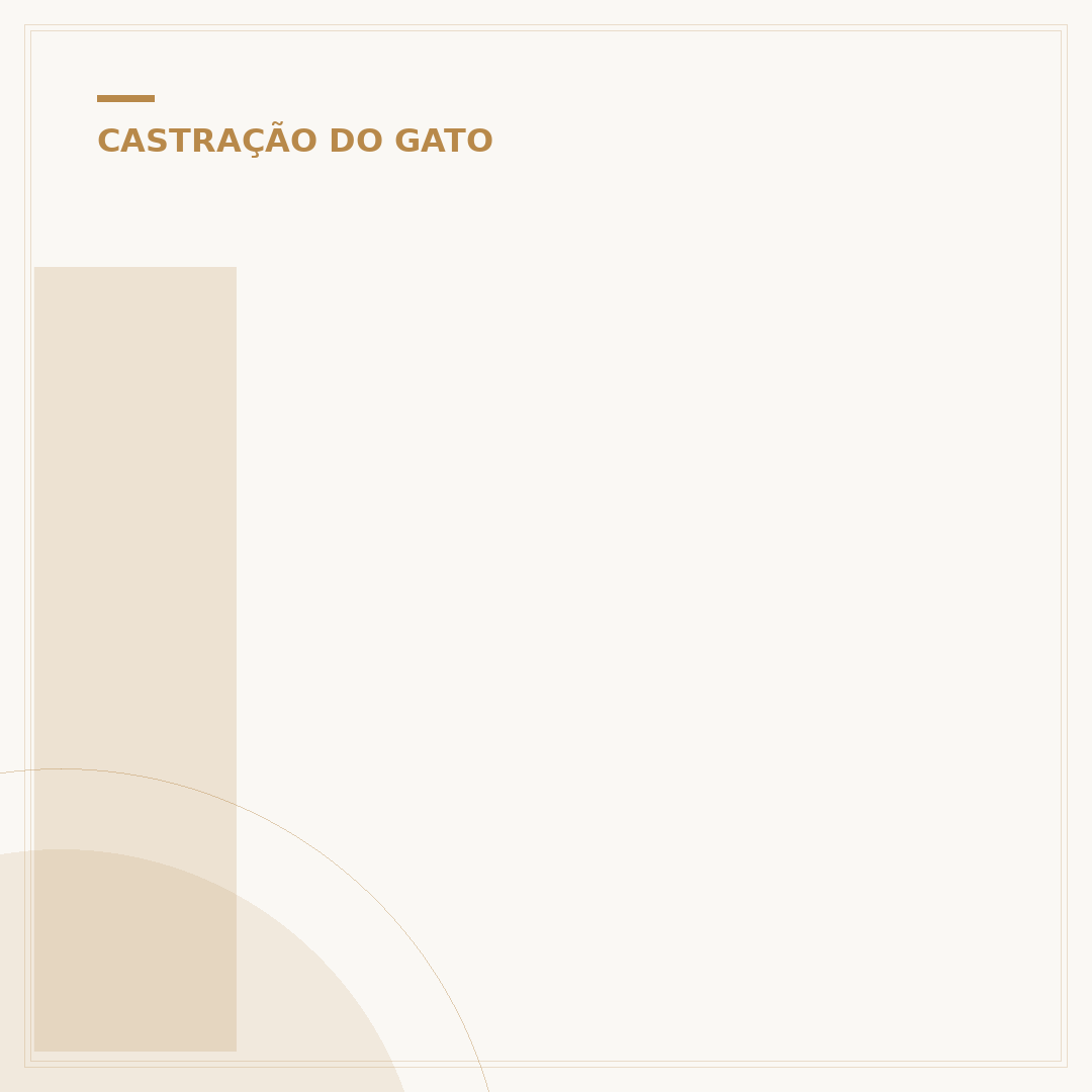 Idade para castrar gato
