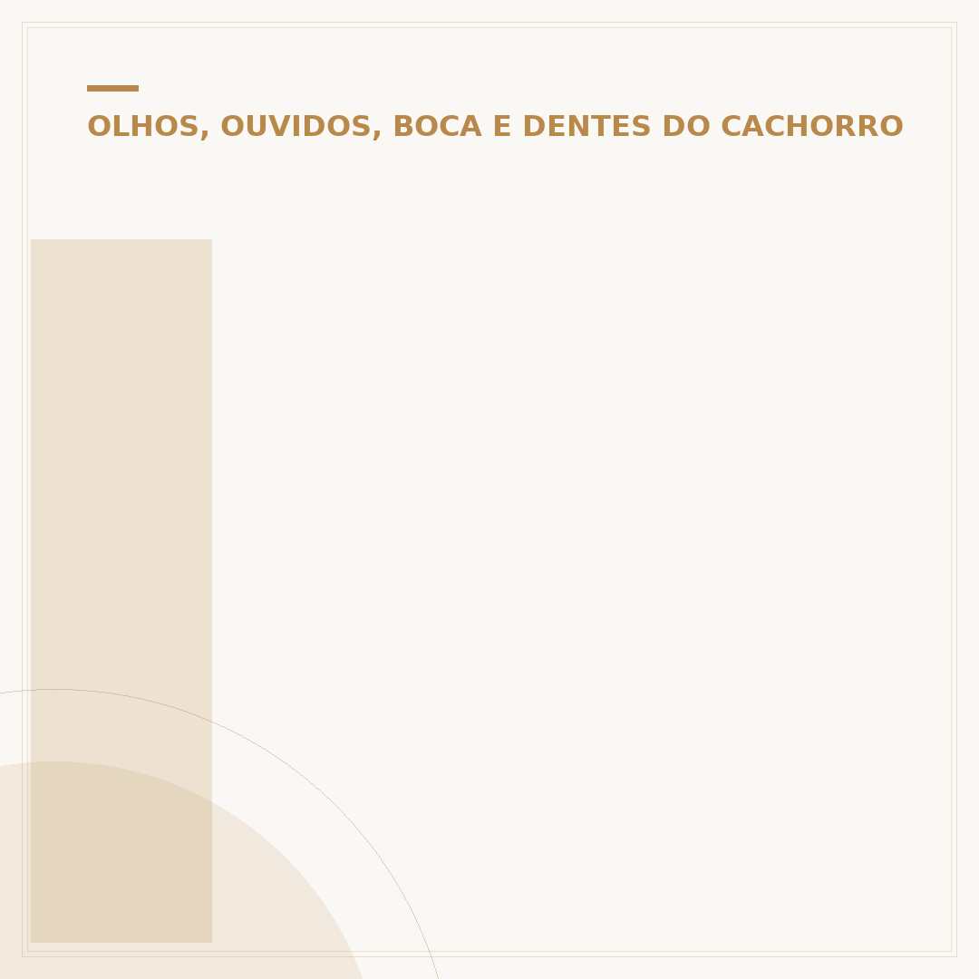 Inchaço no olho do cachorro: causas, sintomas e cuidados