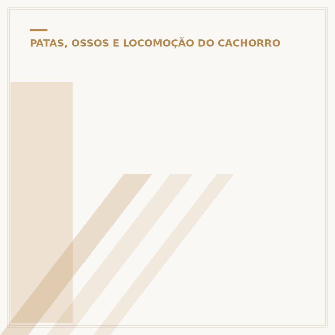 Inchaço na pata do cachorro