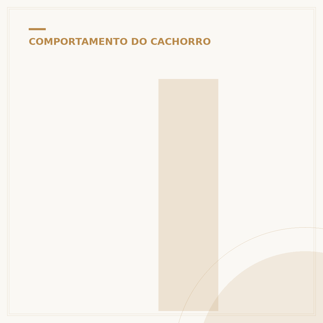 Indireta para quem não gosta de cachorro: o que dizer?