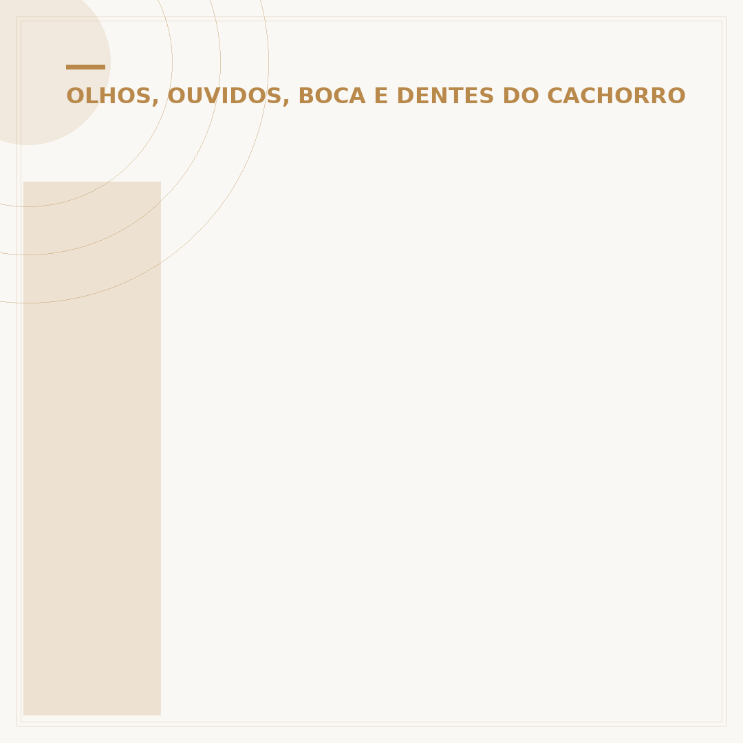 Inflamação no olho de cachorro: causas, sintomas e cuidados