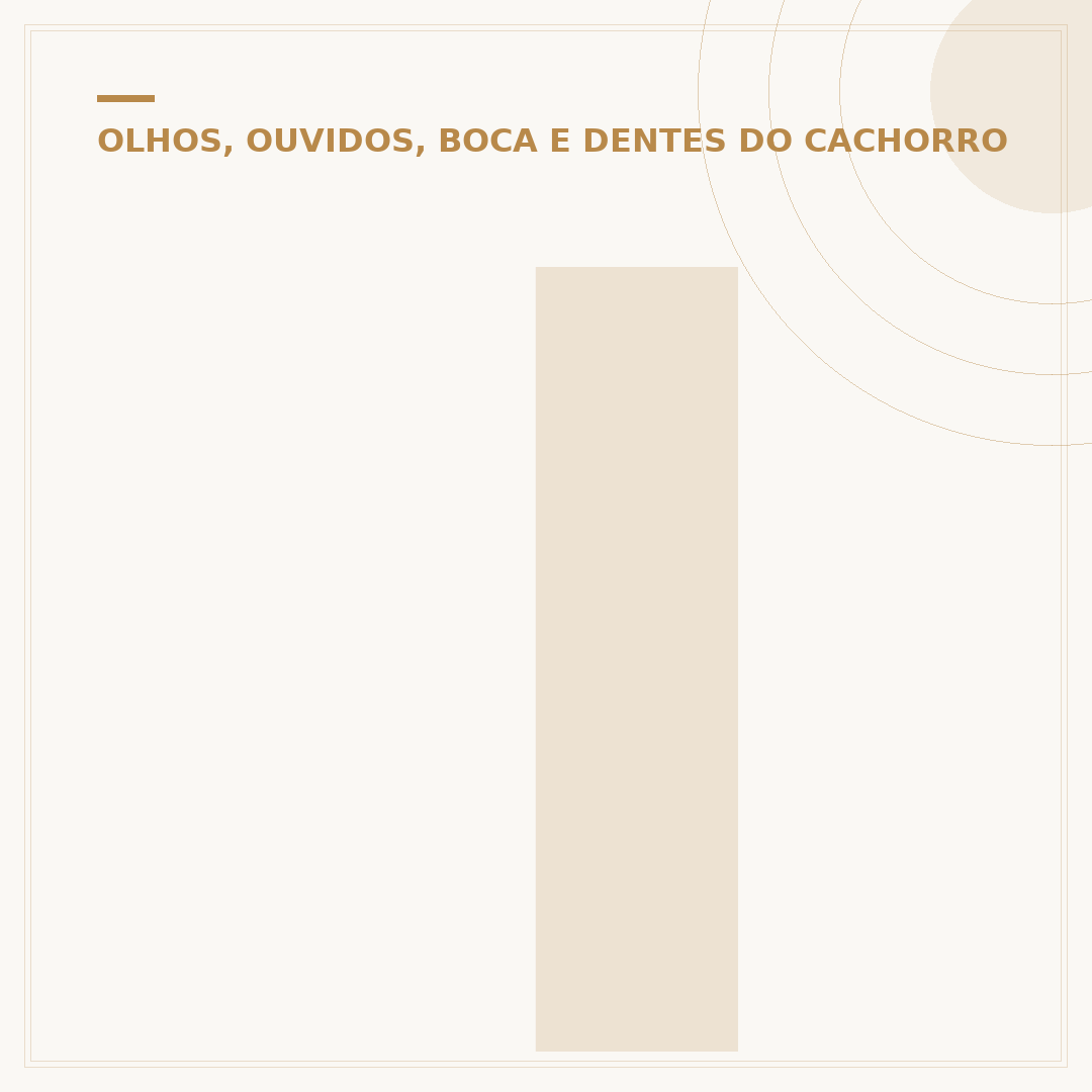 Início de cegueira em cachorros: sinais, causas e cuidados