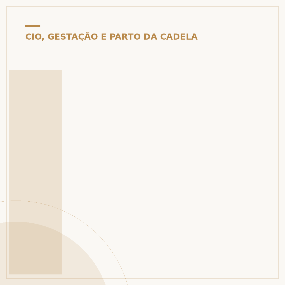 Injeção para cachorro não entrar no cio