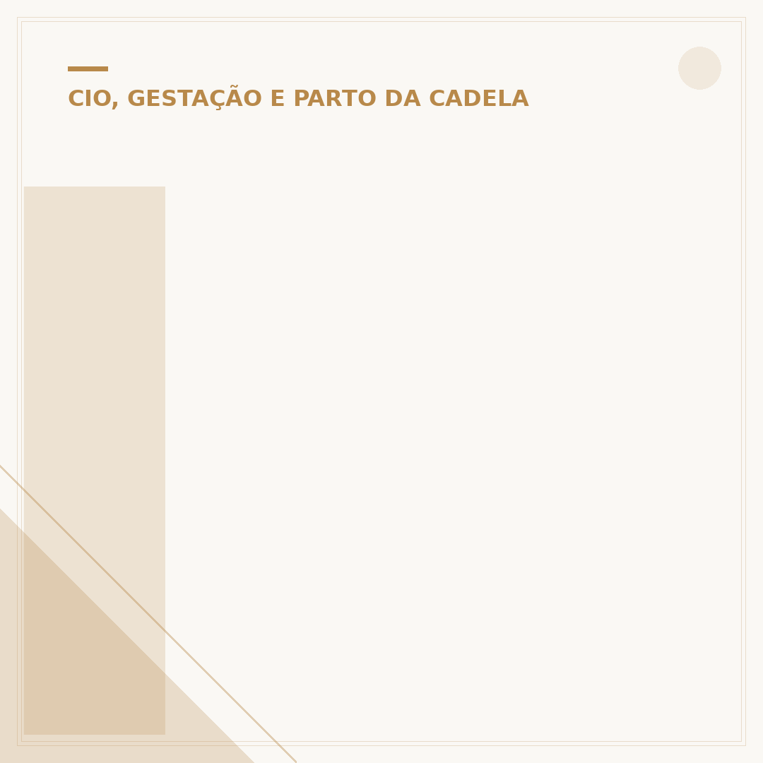 Injeção para cortar cio de cadela: entenda os prós e contras