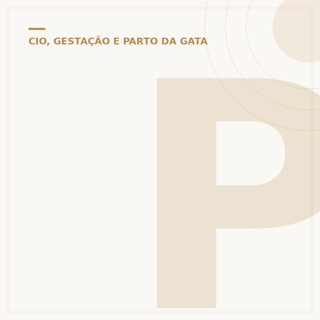 Pode aplicar injeção na gata no cio?